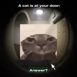 Idk….