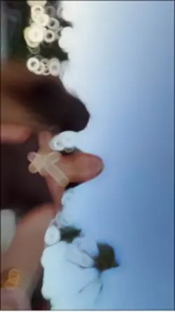 Slowmo
