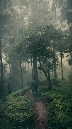 Solo Hiking