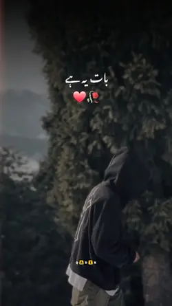 Urdu poetry 