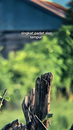 Siap Tempur