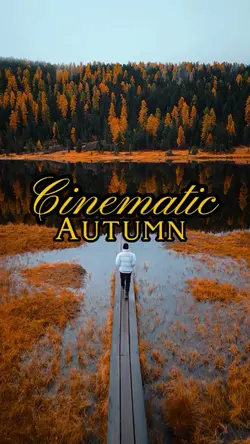 Cinematic Autumn 