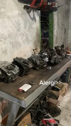 Alergi >>