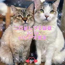 二匹並んでる画像で😊🩷