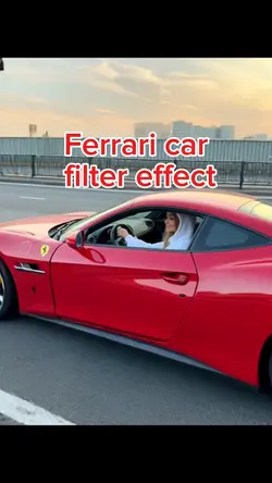 Ferrari car filter