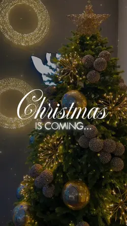 CHRISTMAS IS COMING