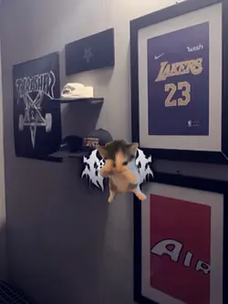 jj kicau mania