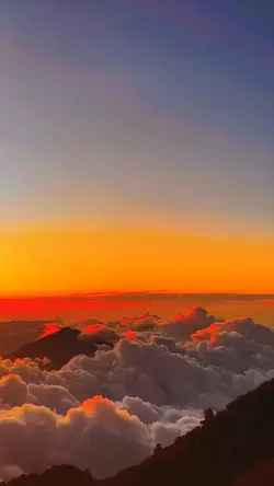 filter senja