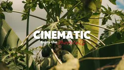 Cinematic 