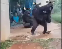 Meme 4 Monyet