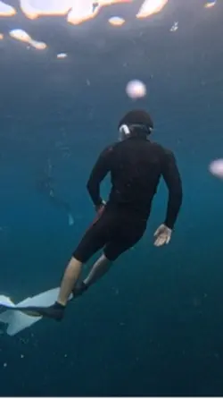 Free dive