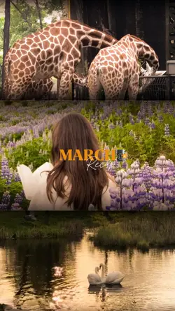 March Recap