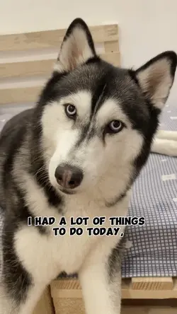 I took a nap!