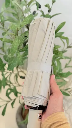 Aesthetic Umbrell