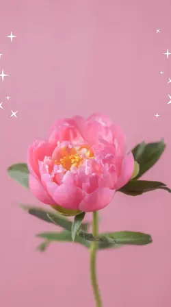 Mother's day 
