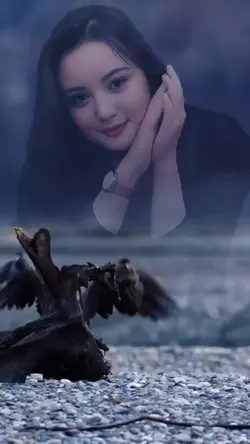 Burung Elang
