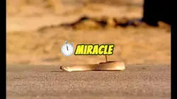 Miracle 
