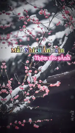 Mẫu Nhiều Ảnh Xịn