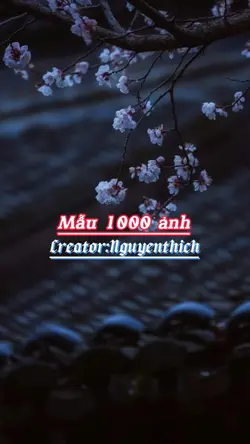 Mẫu 1000 ảnh