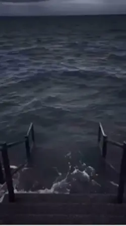 Ocean Meme 🌊