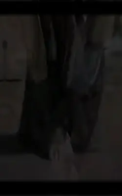 Aladin