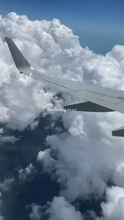 ✈️ mood