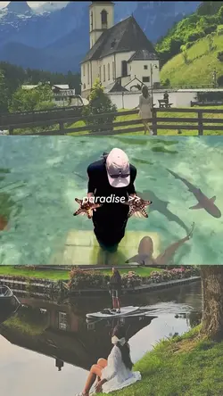 paradise>>