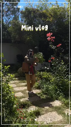 78. Mini vlog 