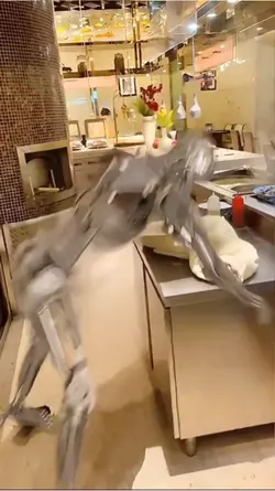 Trend robot 
