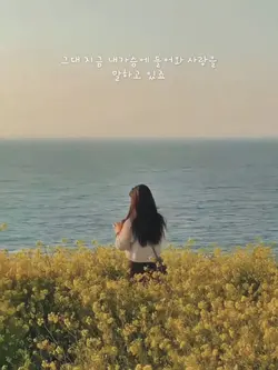 korean slowmo
