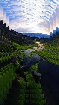5 video or picture 
