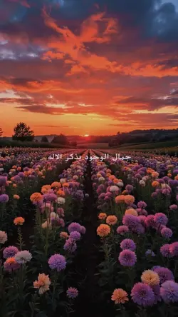 the beauty of