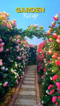 Garden Recap
