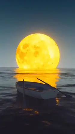Night Moon