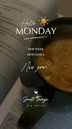 Hello Monday 🌞