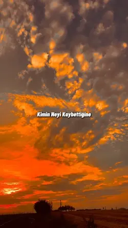 TELAŞ ETME
