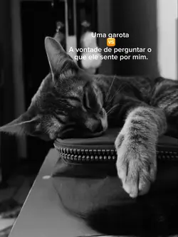  q ele sente por mim