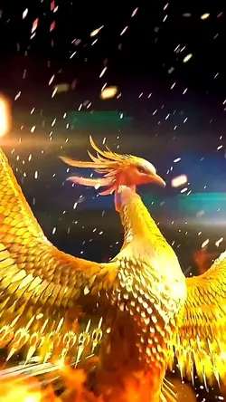 Fire Phoenix
