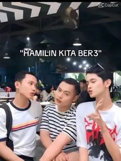 Hamilin ber3