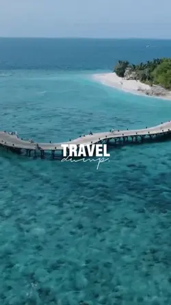 Travel dump