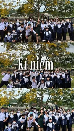 Mẫu 20/11