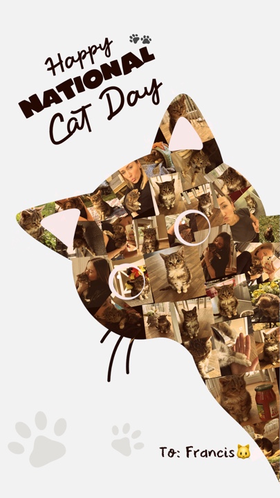 capcut template cover