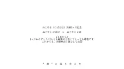 ぬこやま夫婦3ヶ月おめでとう♪