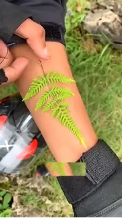 Natural silver fern 