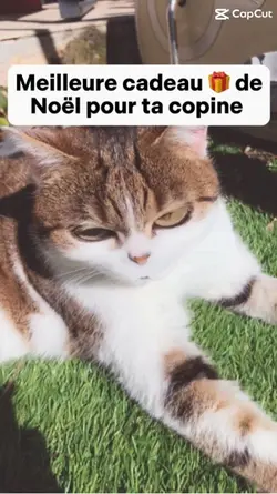 Cadeau 