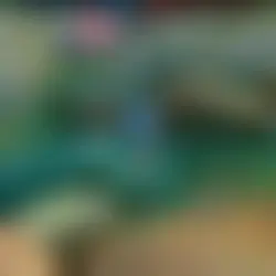 culik aku dong