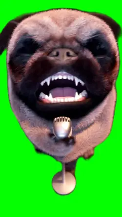 Funny dog singing 