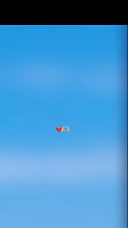 no copyright 