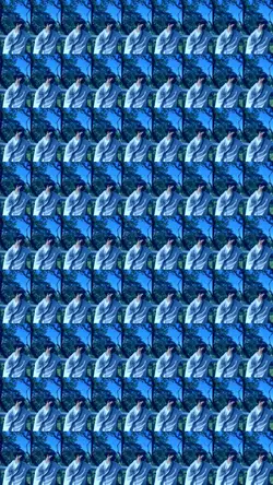 zoom in
