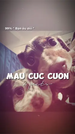 2 ẢNH GIẬT NHẸ